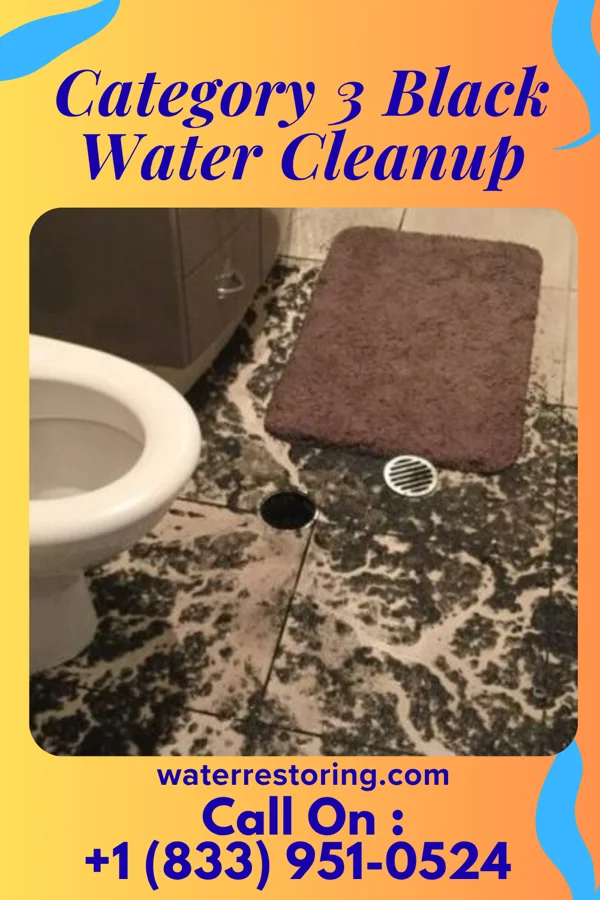 Category 3 Black Water Cleanup in Cleveland, MN