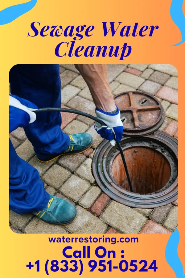 Sewage Water Cleanup in Cleveland, MN